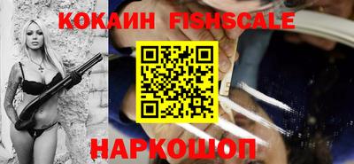 гашик Моздок