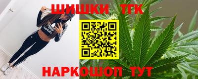 гашик Моздок